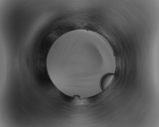 X0000096720526200802191531