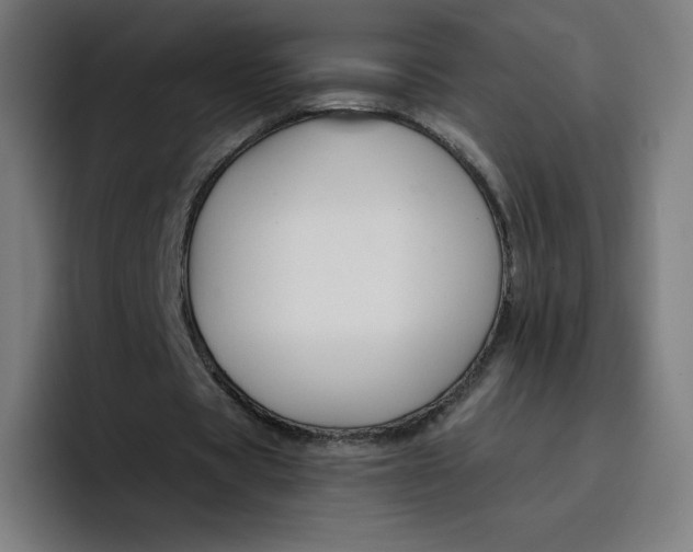 X0000096720529200802191530