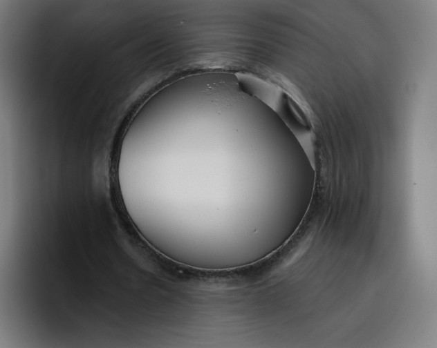 X0000096720530200802191530