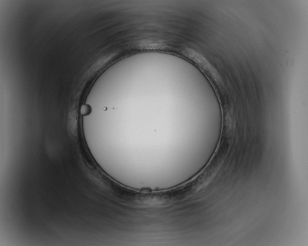 X0000096720533200802191530