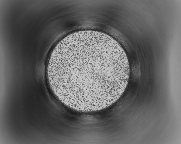 X0000096720534200802191530