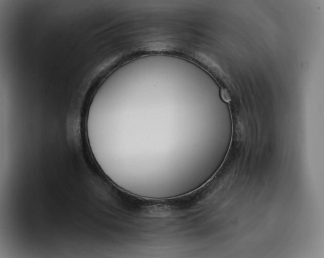 X0000096720535200802191530