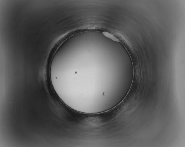 X0000096720536200802191530