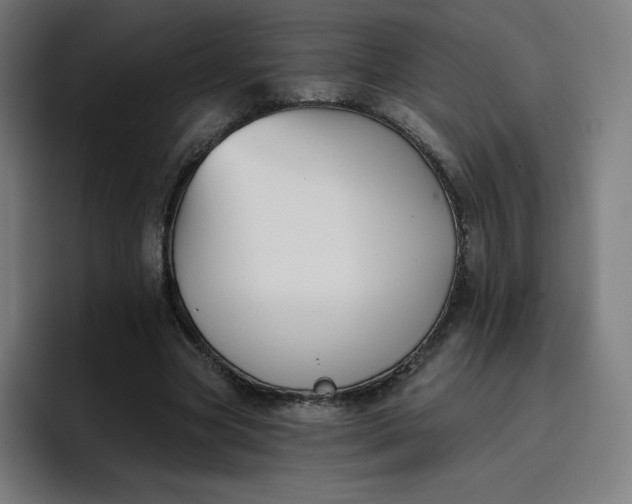 X0000096720537200802191530