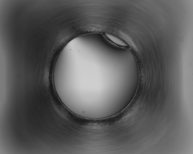 X0000096720538200802191530