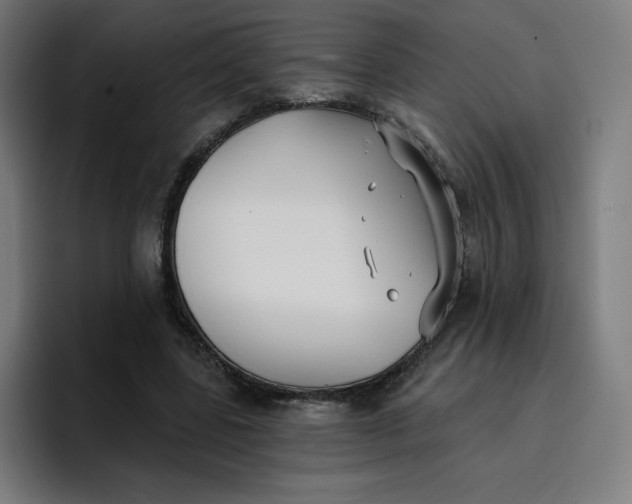 X0000096720539200802191530