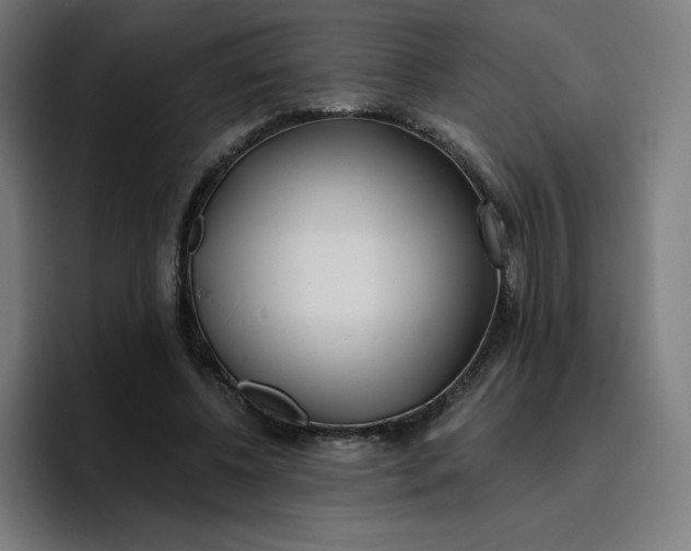 X0000096720540200802191530