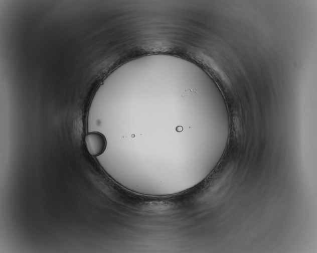 X0000096720541200802191530