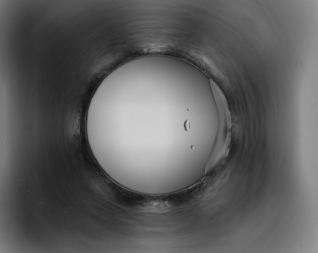 X0000096720543200802191530