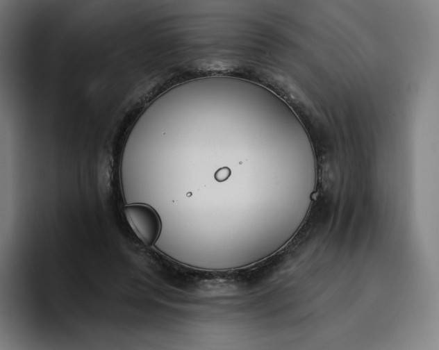 X0000096720544200802191530