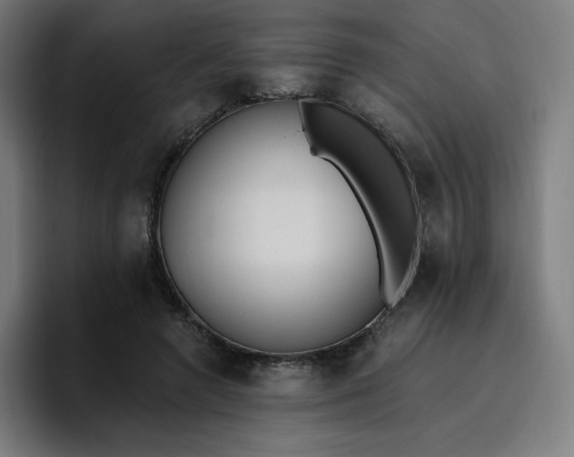 X0000096720546200802191530