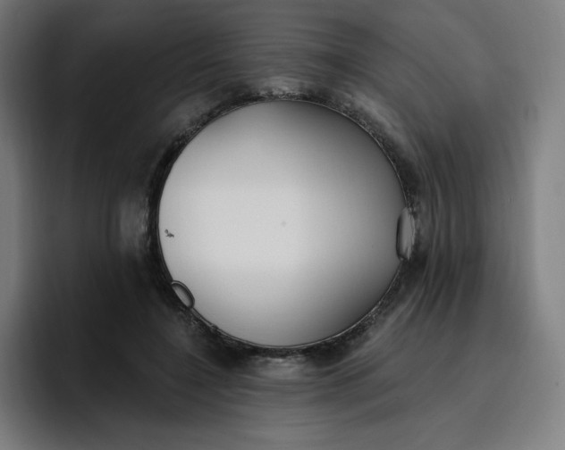 X0000096720548200802191530