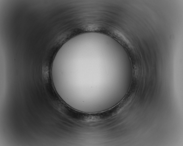 X0000096720549200802191530