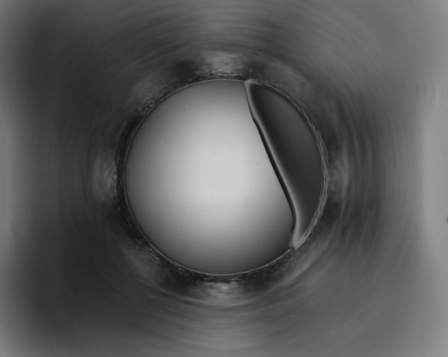 X0000096720552200802191530