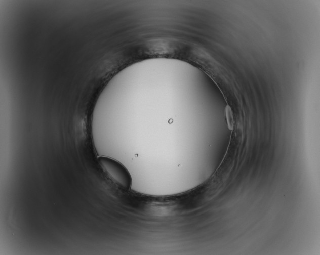 X0000096720556200802191530