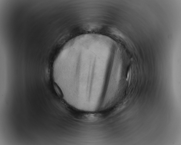 X0000096720558200802191530