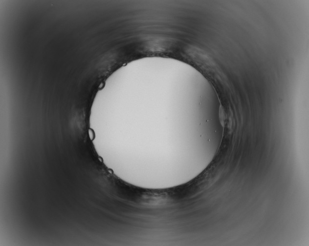 X0000096720559200802191530