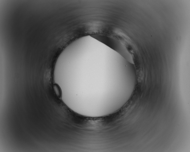 X0000096720560200802191530