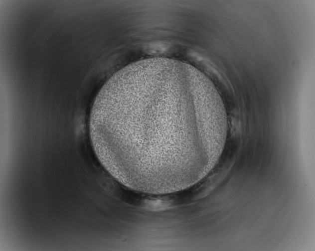 X0000096720561200802191530