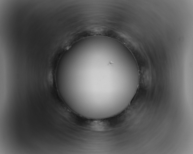 X0000096720562200802191530