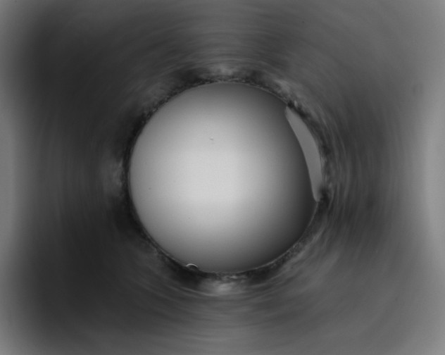 X0000096720563200802191530