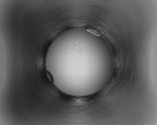 X0000096720564200802191530