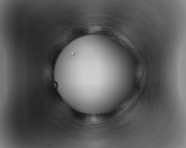 X0000096720565200802191530