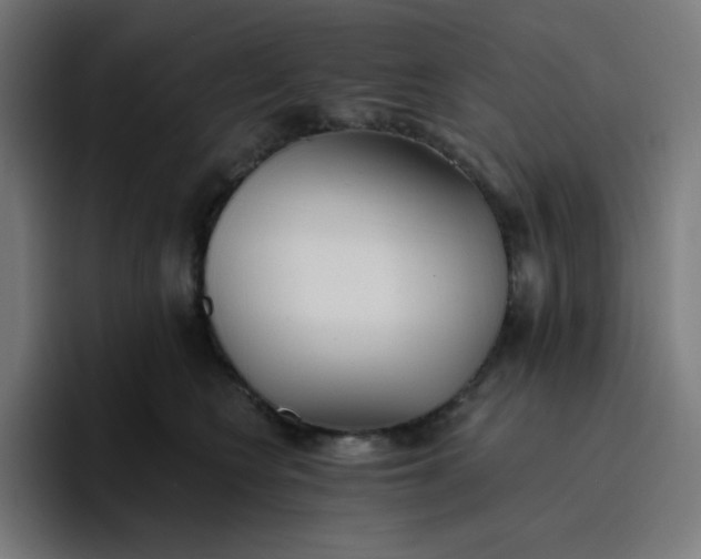 X0000096720566200802191530