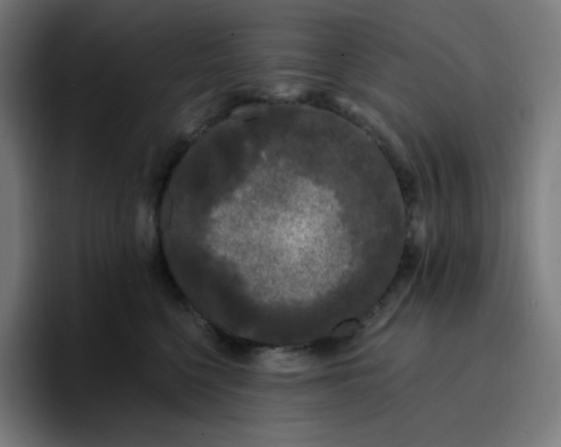 X0000096720568200802191530