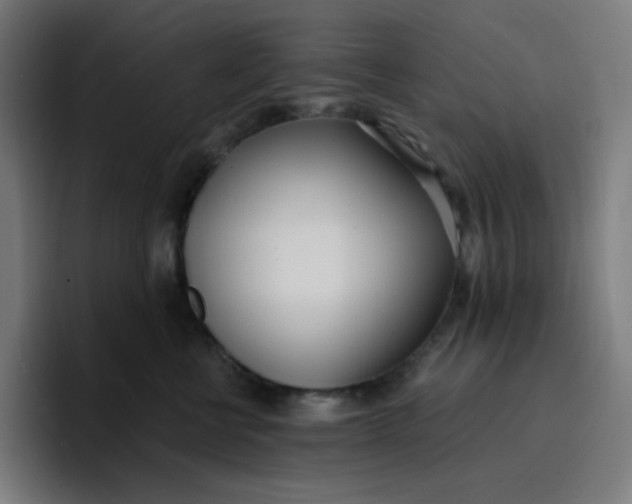 X0000096720570200802191531