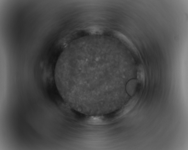 X0000096720573200802191531