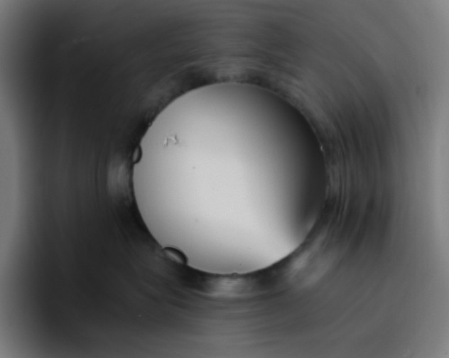 X0000096720575200802191531