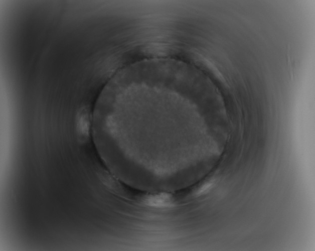 X0000096720576200802191531