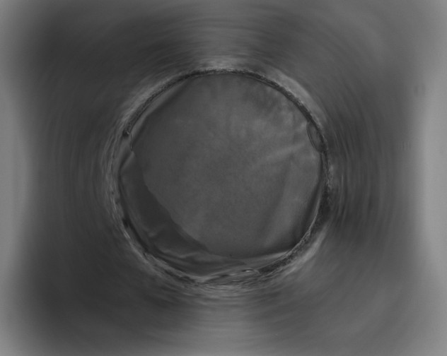 X0000096720577200802191530