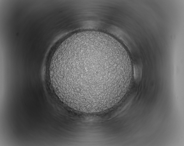 X0000096720579200802191530