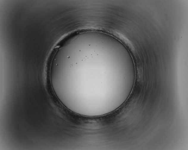 X0000096720580200802191530