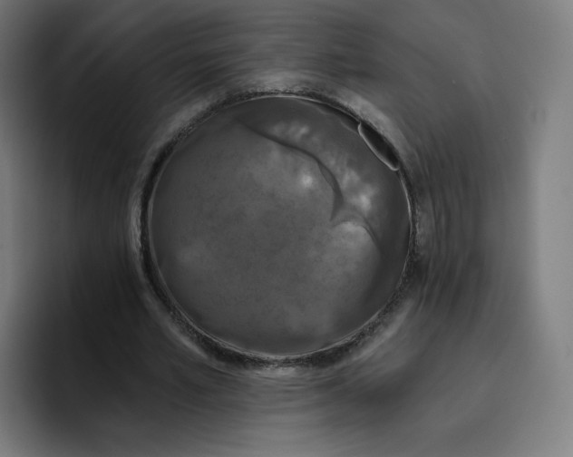 X0000096720581200802191530