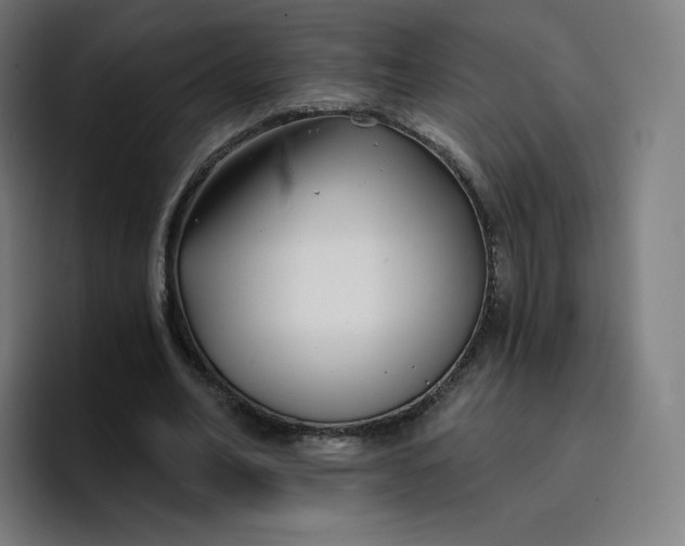 X0000096720582200802191530