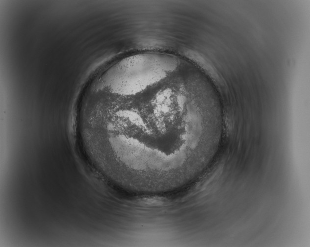 X0000096720583200802191530