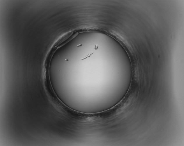 X0000096720584200802191530