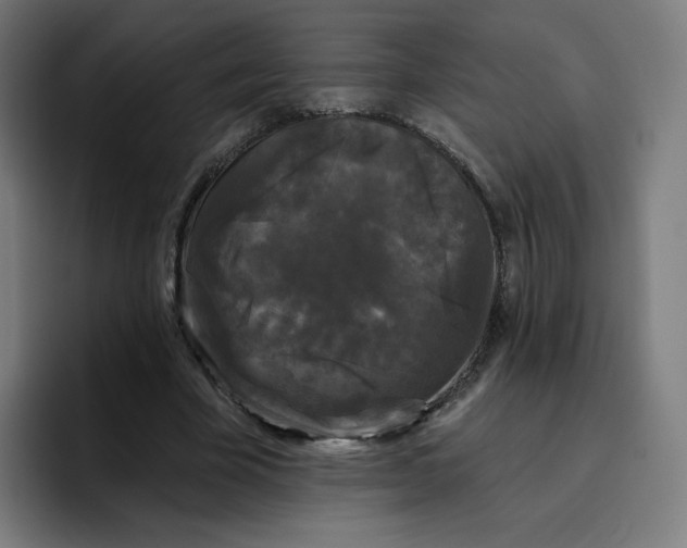 X0000096720585200802191530