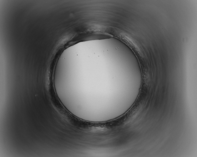 X0000096720586200802191530