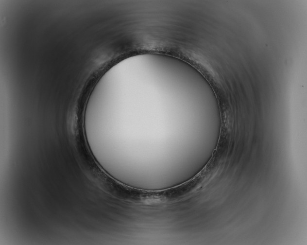 X0000096720587200802191530