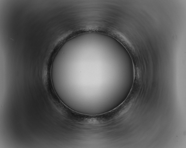 X0000096720588200802191530