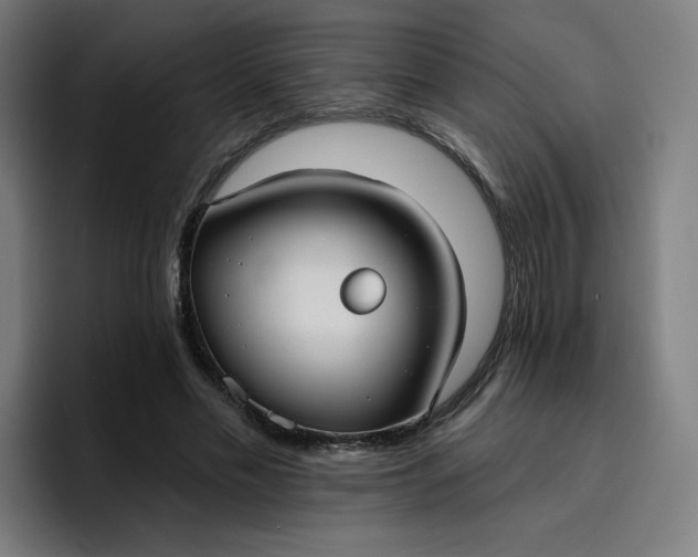 X0000096720589200802191530