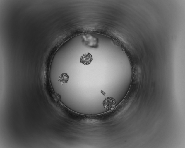 X0000096720590200802191530