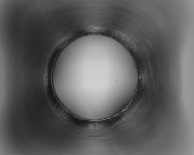 X0000096720591200802191530