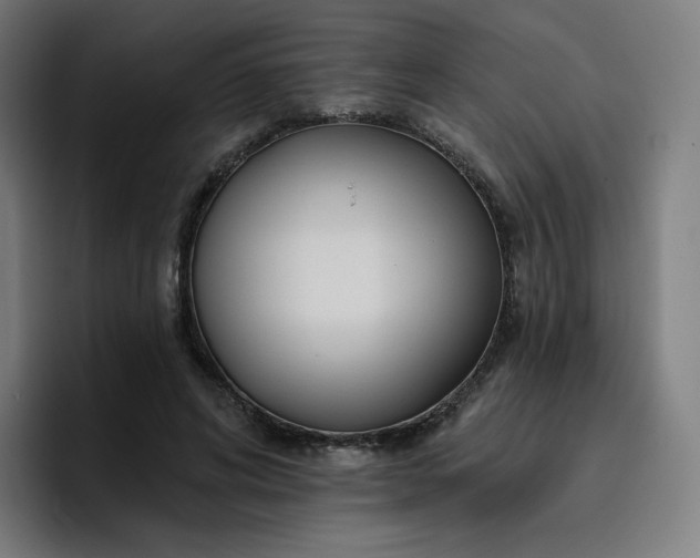 X0000096720592200802191530