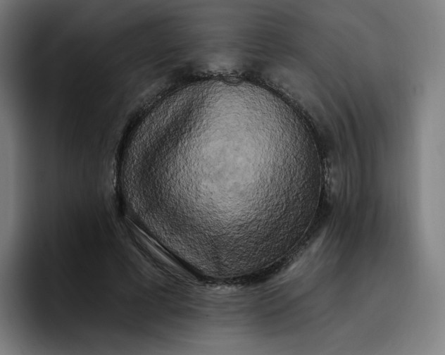 X0000096720593200802191530