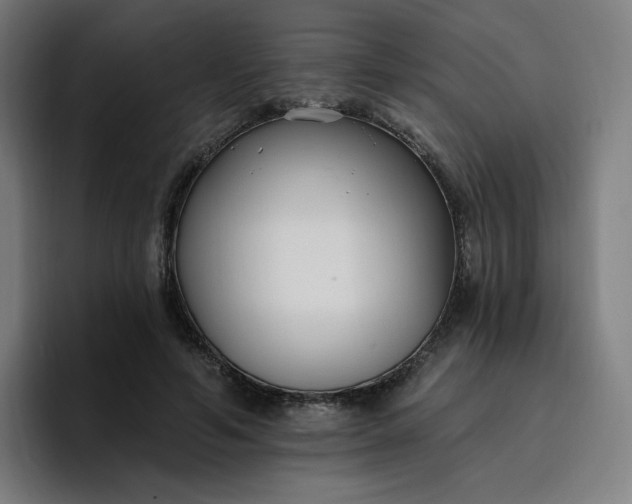 X0000096720594200802191530